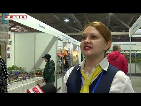 Магазин Сибдача В Новокузнецке