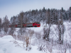 Поезд «Шерегеш-экспресс» возобновляет рейсы с 22 ноября