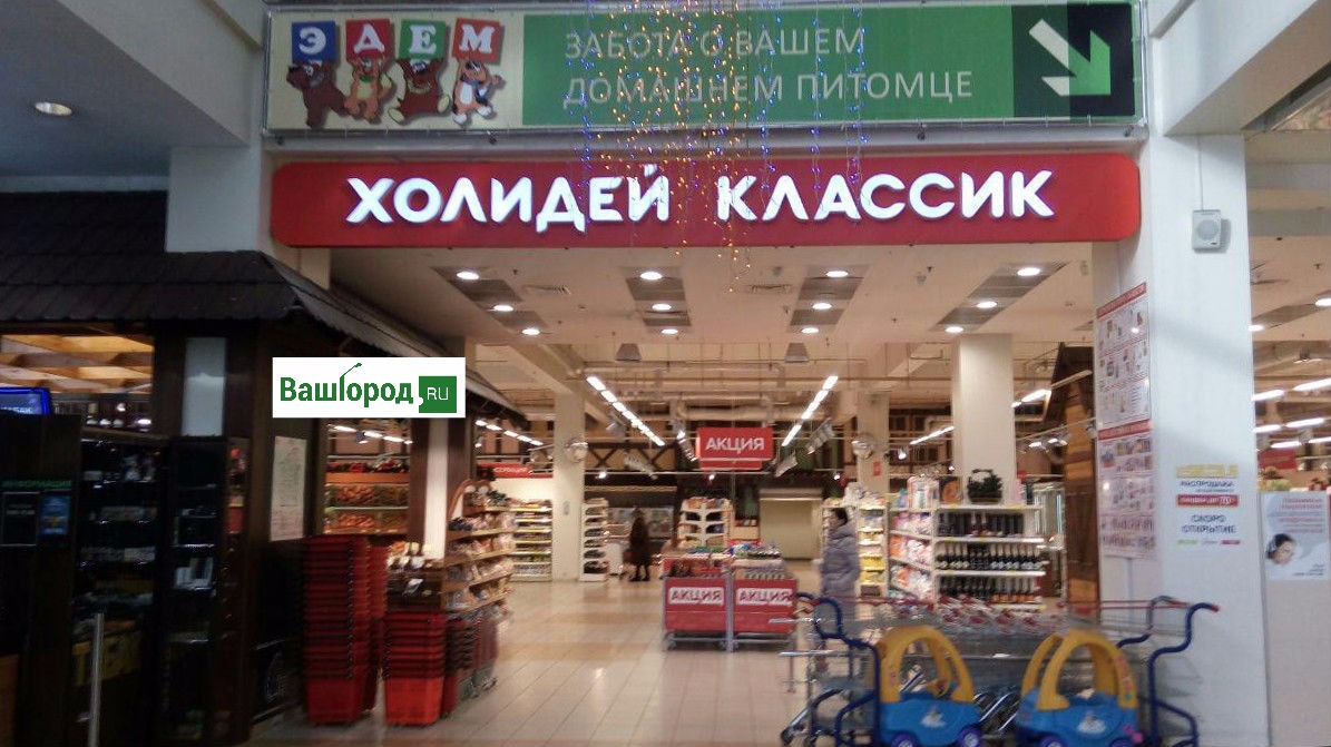 Холди Сеть Магазинов Официальный Сайт