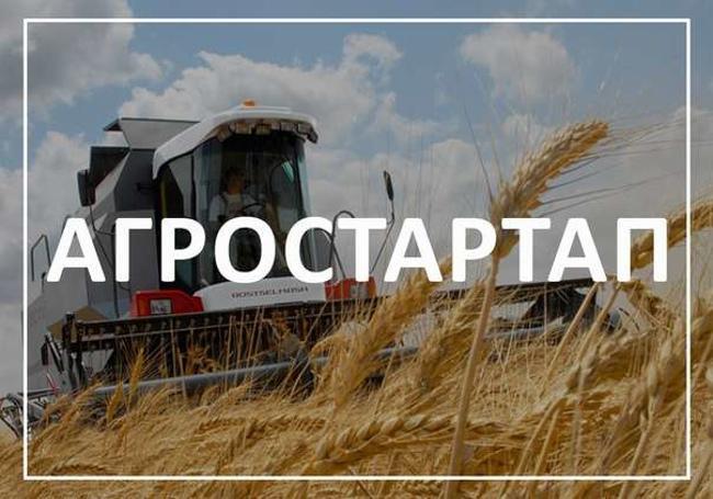 Новороссийск аси проект