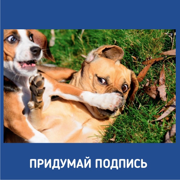 Придумать название к картинке