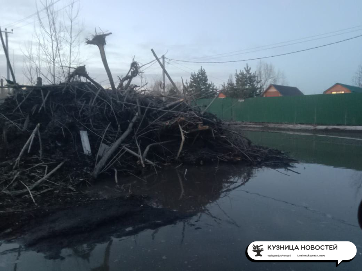 Обломки «сталинок» из Абашево свалили в озеро: нанесён ущерб природе
