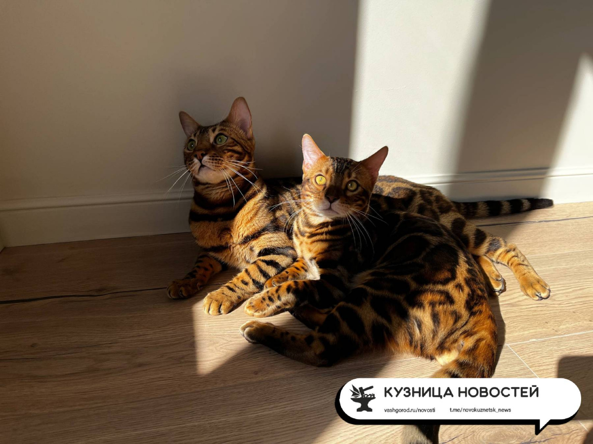 В Новокузнецк идёт бабье лето. А вместе с ним заморозки