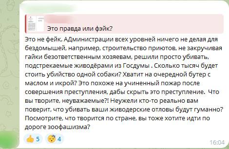 «Вы хотите зоофашизма?»: особый режим, введённый из-за бездомных собак, расколол новокузнецкое общество