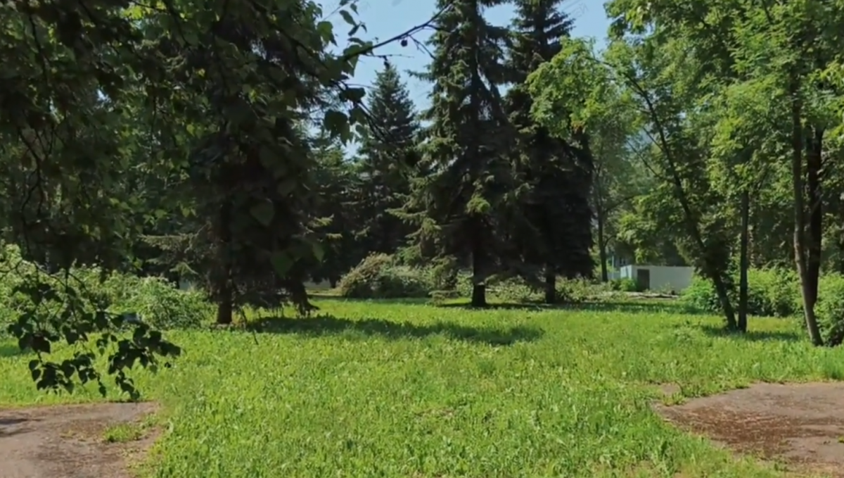 Спил Комсомольского сквера приостановили: решение о застройке приняли ещё при Кузнецове