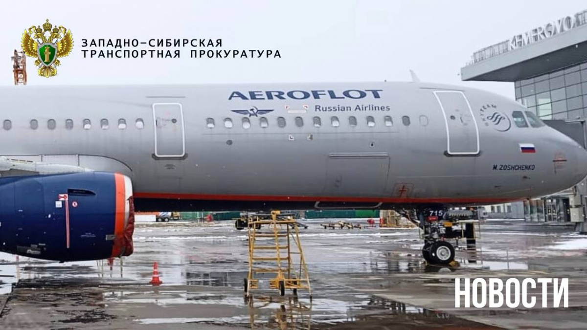 В Кемерове самолет выкатился за полосу при посадке