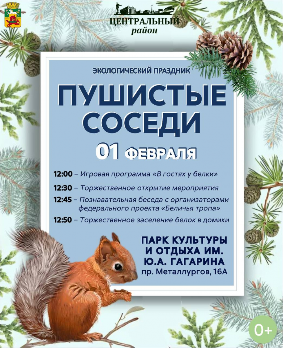 Власти Новокузнецка поселят белочек в Парке Гагарина