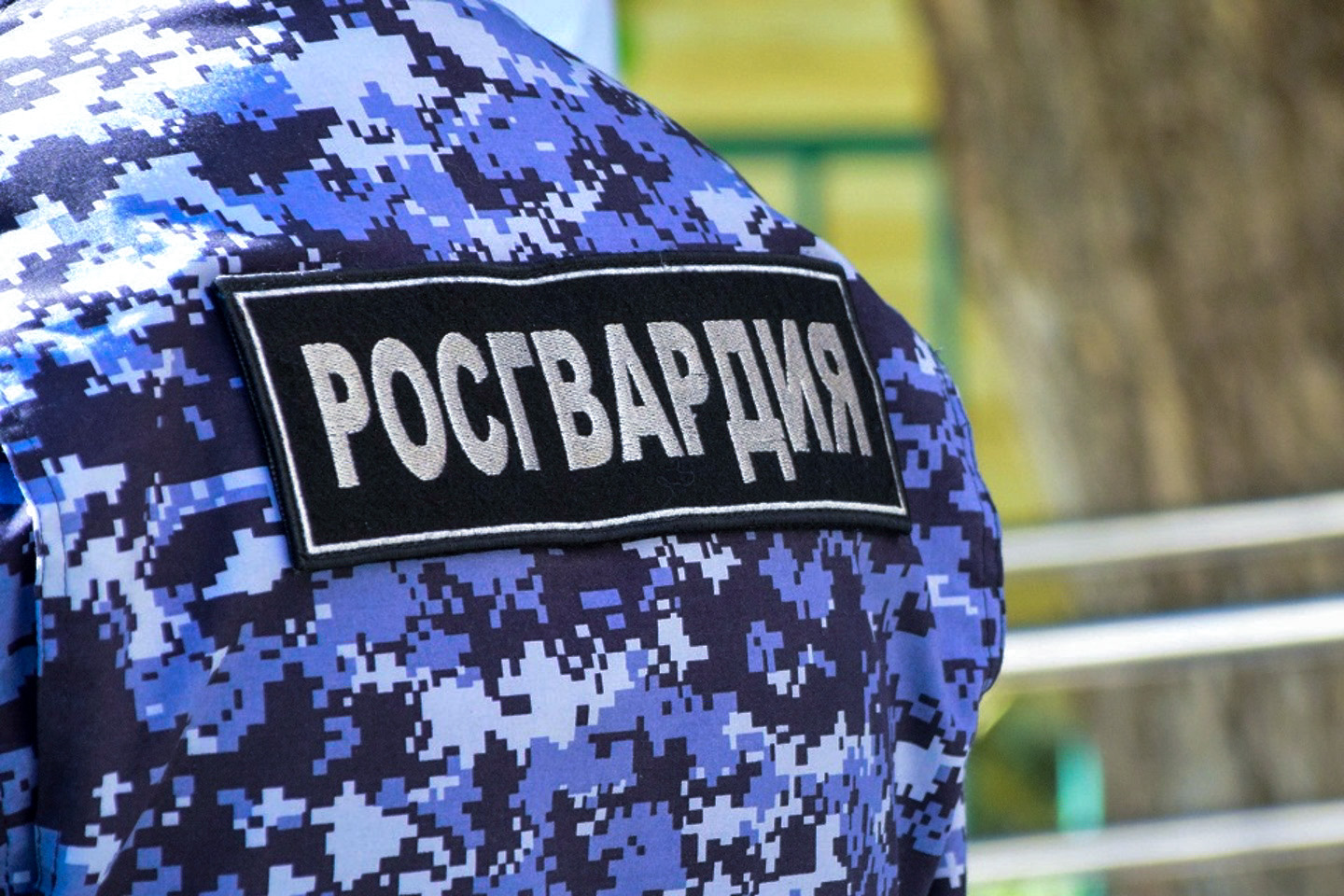 Экипаж Росгвардии задержал похитительницу орехов