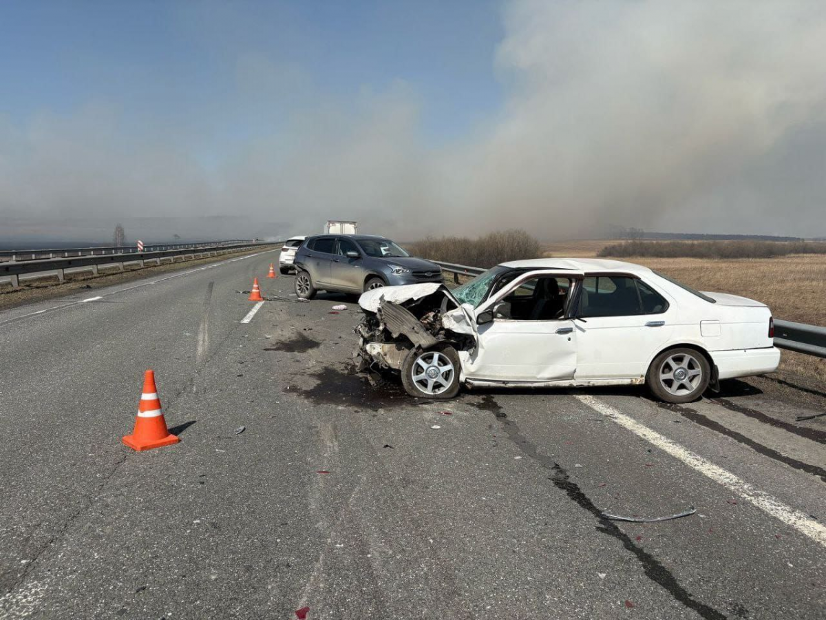 На трассе под Новокузнецком произошло массовое ДТП: во всём виновата горящая трава