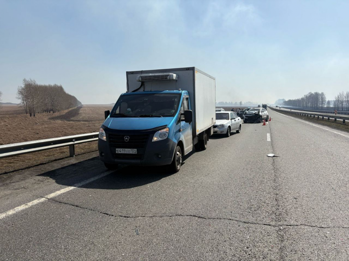 На трассе под Новокузнецком произошло массовое ДТП: во всём виновата горящая трава