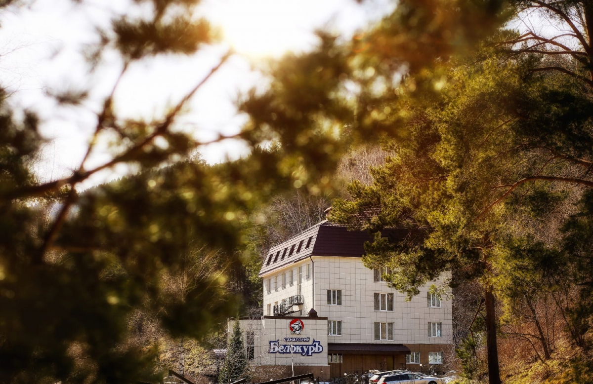 Оазис здоровья у подножия гор: санаторий для тех, кто устал