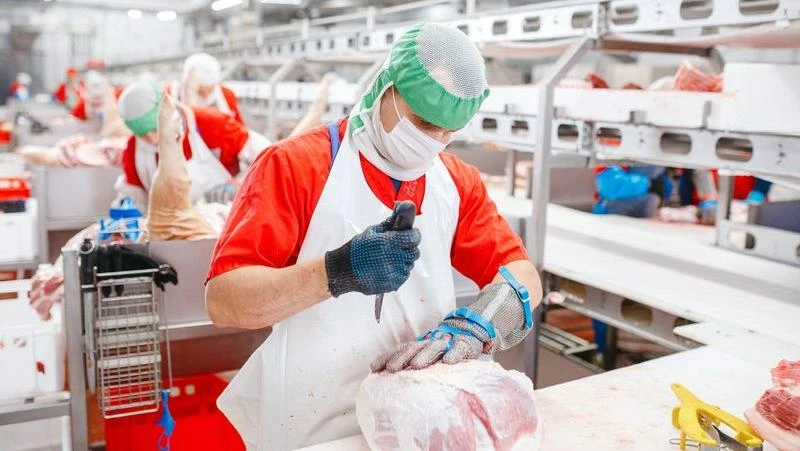 «Сибагро» - главный производитель свинины в Кузбассе