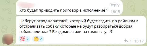 «Вы хотите зоофашизма?»: особый режим, введённый из-за бездомных собак, расколол новокузнецкое общество