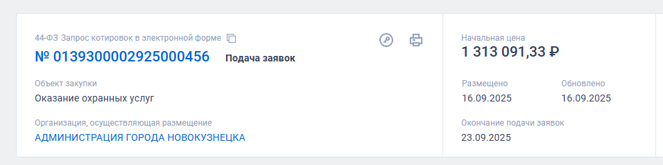 Ремонт дороги дешевле месячной охраны мэрии - нормально?
