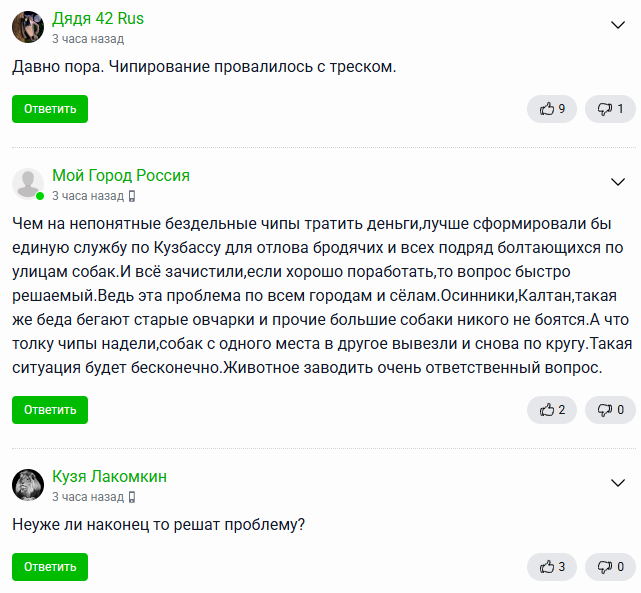 «Вы хотите зоофашизма?»: особый режим, введённый из-за бездомных собак, расколол новокузнецкое общество