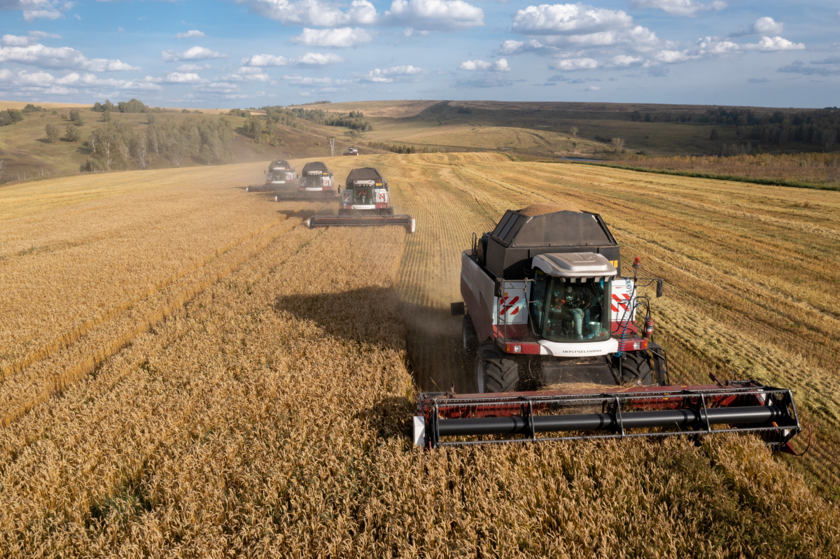 Растениеводы «Сибагро» начали уборочную