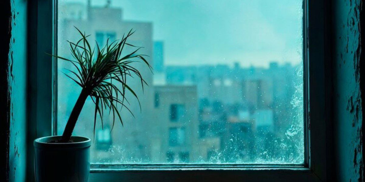 В Кузбассе из окна выпал ребенок